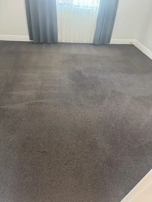 After grey bedroom carpet cleaning by Everfresh Cleaning in Melbourne
