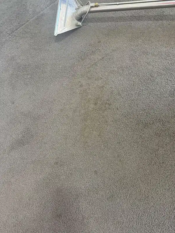 Before grey bedroom carpet cleaning by Everfresh Cleaning in Melbourne
